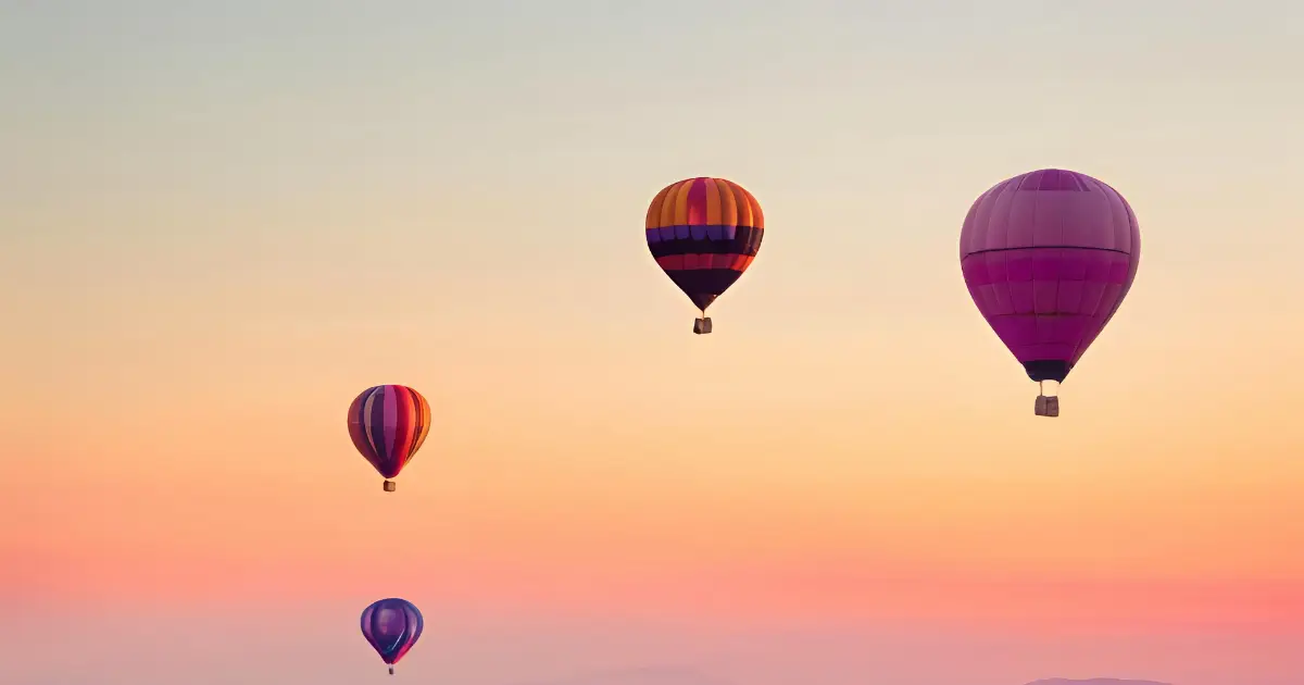 Balloon waiver software check-in for Balloon Aloft guests before launch